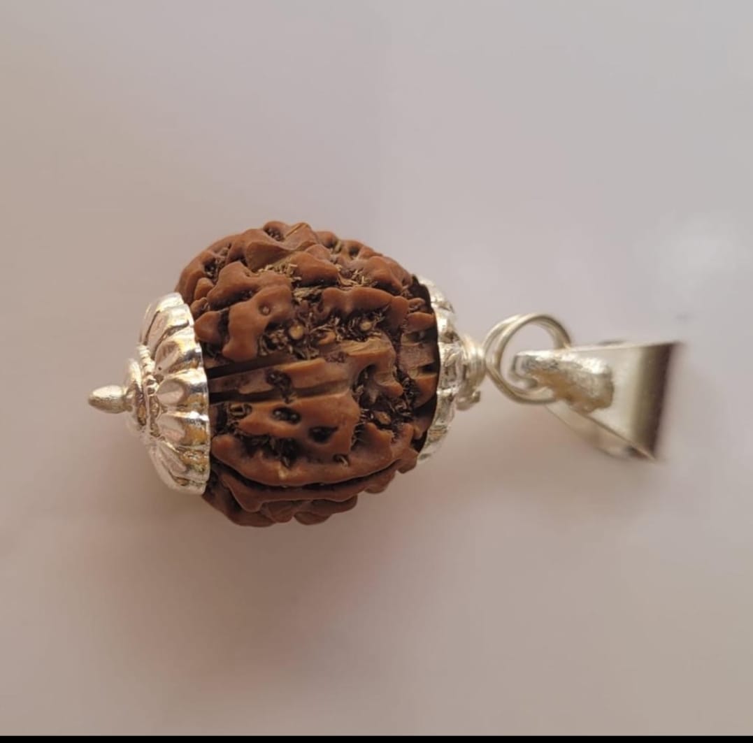 Panch Mukhi Rudraksha